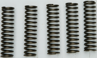 EBC CLUTCH SPRING KIT CSK128