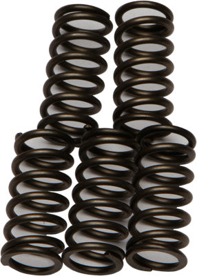 EBC REDLINE CLUTCH SPRINGS PART# CSK176 NEW