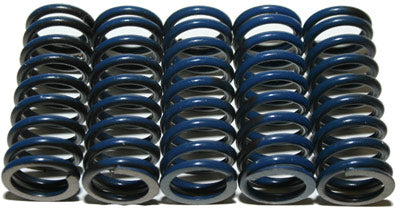 HINSON HIGH TEMP SPRINGS 5 SPRINGS PART# CS294-5-0109 NEW