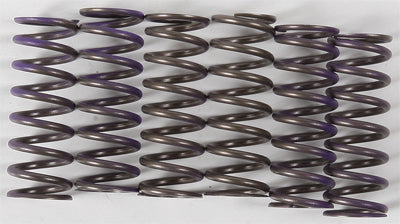 HINSON HIGH TEMP SPRINGS 6 SPRINGS PART NUMBER CS189-6-1015