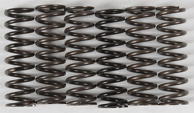 HINSON HIGH TEMP SPRINGS 6 SPRINGS PART NUMBER CS216-6-0315