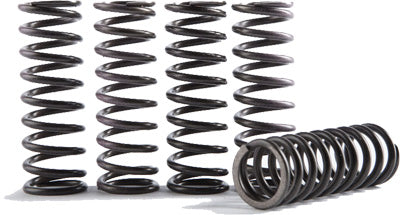 HINSON HI-TEMP CLUTCH SPRING KIT CS341-5-0415