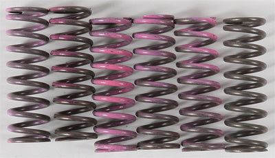 HINSON HIGH TEMP SPRINGS 6 SPRINGS PART NUMBER CS330-6-0509