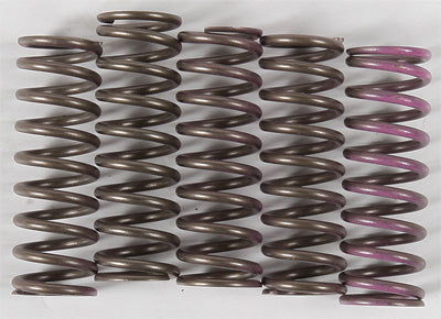 HINSON HIGH TEMP SPRINGS 5 SPRINGS PART# CS330-5-0509 NEW