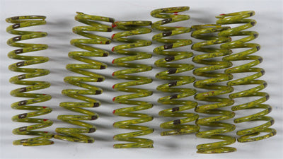 KG 2004-2009 Suzuki GS500F HIGH PERFORMANCE SPRING SET KGS-021