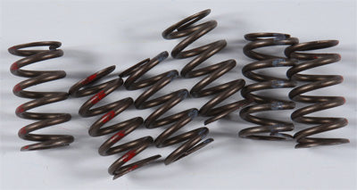 KG 1998-2009 Kawasaki EX500 Ninja 500R HIGH PERFORMANCE SPRING SET KGS-023