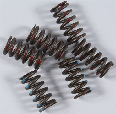 KG 1980-1982 Honda CB900C Custom HIGH PERFORMANCE SPRING SET KGS-027