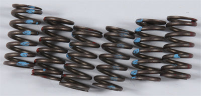 KG 1988 Honda VT800C Shadow HIGH PERFORMANCE SPRING SET KGS-028