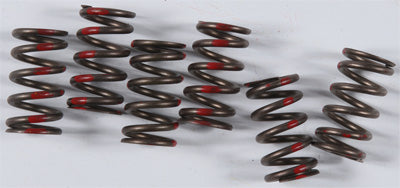 KG 1984-1986 Kawasaki ZX900 Ninja HIGH PERFORMANCE SPRING SET KGS-030