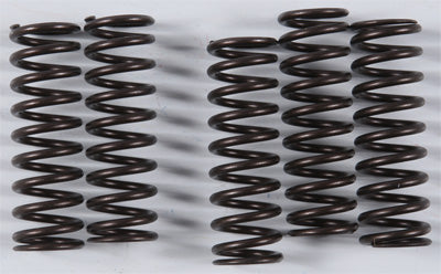 KG 2006-2011 Kawasaki ZX1400 Ninja ZX-14 HIGH PERFORMANCE SPRING SET KGS-805