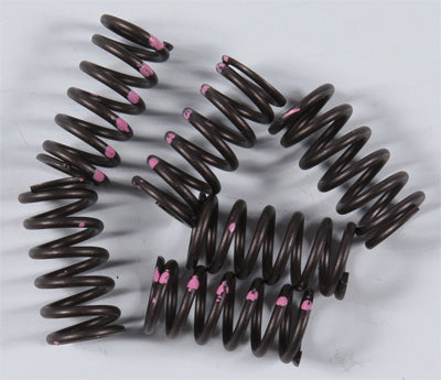 KG 2008-2015 Suzuki GSX-R1300 Hayabusa HIGH PERFORMANCE SPRING SET KGS-810