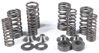 KPMI RACING VALVE SPRING KIT 30-30880