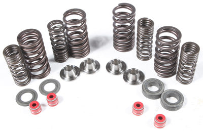 KPMI RACING VALVE SPRING KIT 30-30590