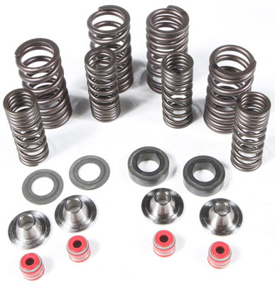 KPMI RACING VALVE SPRING KIT 30-31150