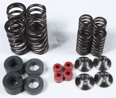 KPMI RACING VALVE SPRING KIT 30-31450