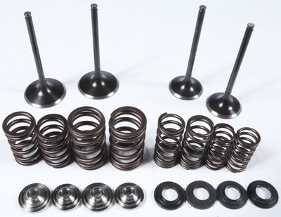 KPMI RACING VALVE SPRING KIT 30-31250