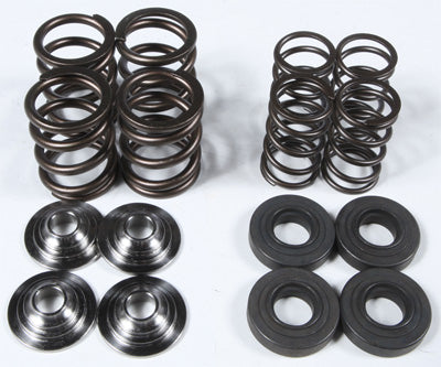 KPMI RACING VALVE SPRING KIT 30-30161