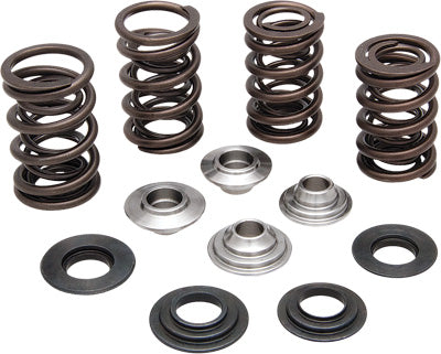 KPMI Racing Valve Spring Kit PART NUMBER 60-60700