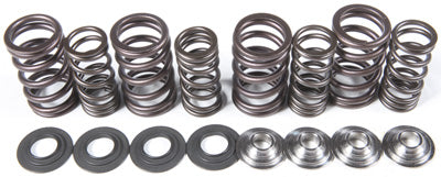 KPMI RACING VALVE SPRING KIT 80-80066