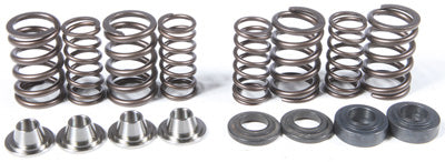 KPMI RACING VALVE SPRING KIT 80-80750