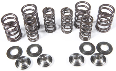 KPMI RACING VALVE SPRING KIT PART# 96-96090 NEW