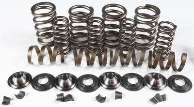 KPMI RACING VALVE SPRING KIT .650 LIFT PART# 20-20060 NEW