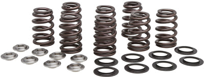 KPMI VALVE SPRING KIT BEEHIVE M8 TI TANIUM 20-21000