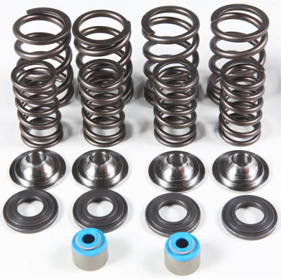 KPMI RACING VALVE SPRING KIT 82-82060