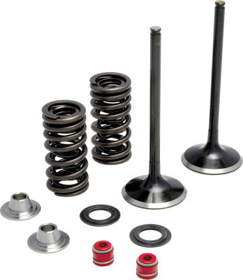 KPMI INTAKE VALVE SPRING KIT PART# 30-31200 NEW