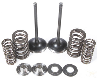 KPMI Intake Valve Spring Kit PART NUMBER 60-60450