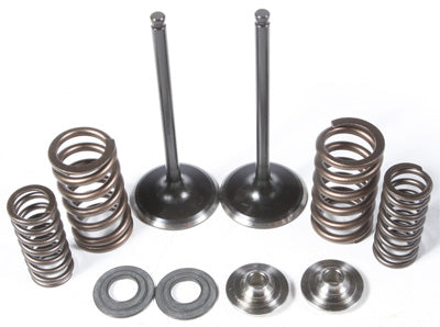 KPMI Intake Valve Spring Kit PART NUMBER 60-60470