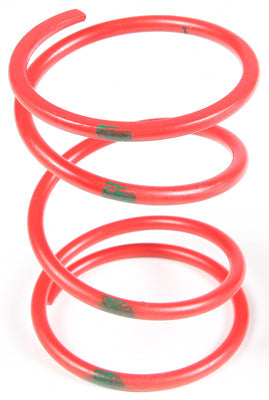 TEAM STEEL CLUTCH SPRING RED/GREEN 120-220 210177