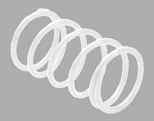 EPI BCS22 ERLANDSON CLUTCH SPRING WHITE