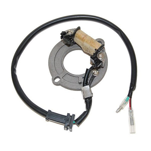 PROCOM ELECTROSPORT STATOR HONDA CR80 ESC1631