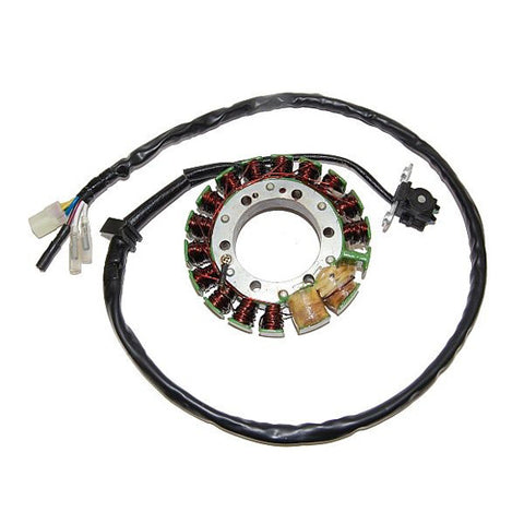 PROCOM ELECTROSPORT LIGHTING STATOR TRX400R - HIGH POWER ESG490