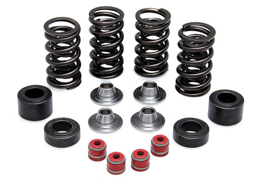 KPMI RACING VALVE SPRING KIT PART#  30-31450