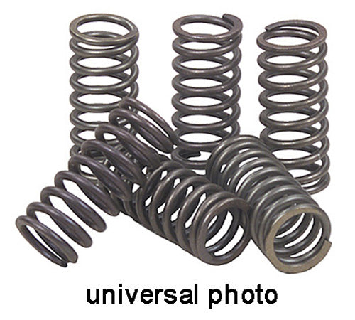 EBC CLUTCH SPRING KIT CSK09